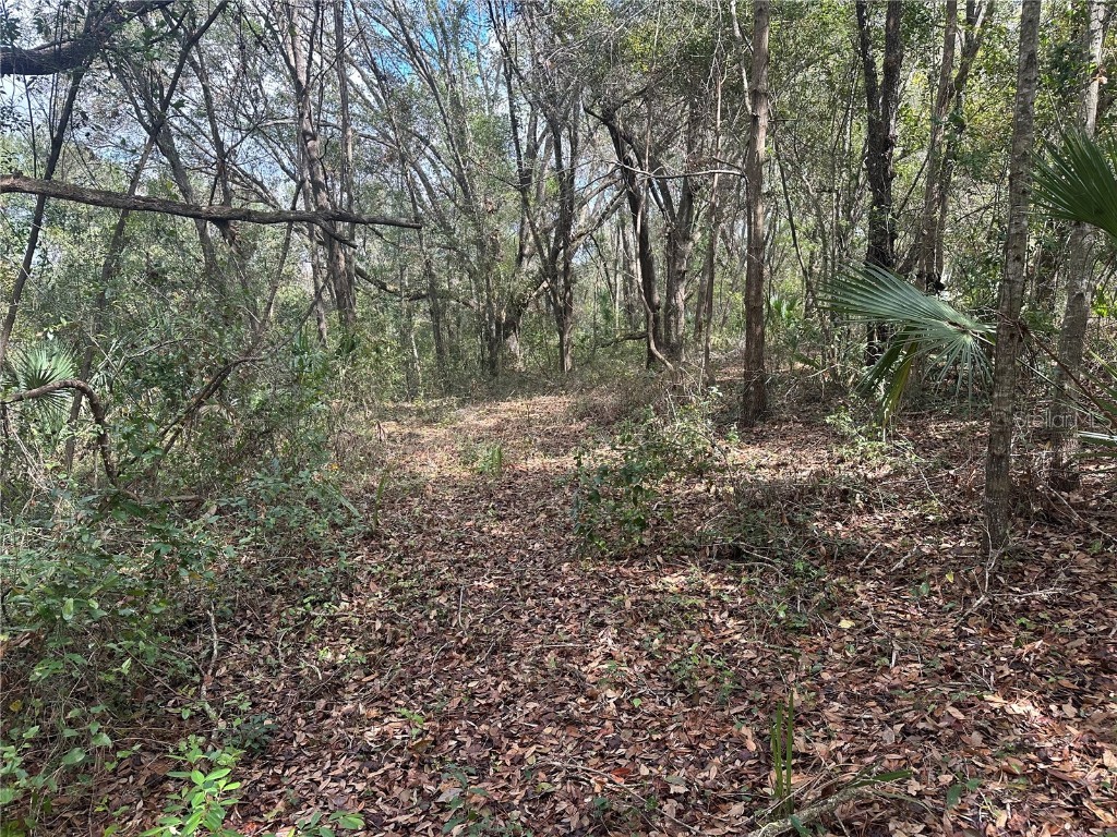 S Lake Hiawatha Drive Lady Lake FL 32159 - LAKE HIAWATHA G5093116 image10