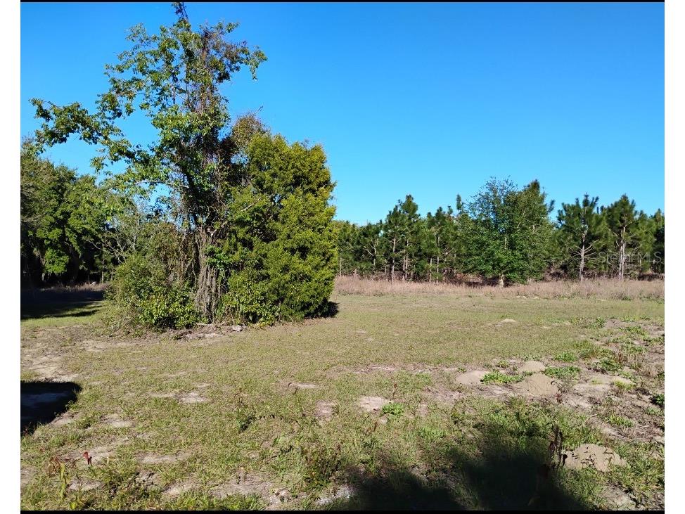 S Lake Hiawatha Drive Lady Lake FL 32159 - LAKE HIAWATHA G5093116 image13