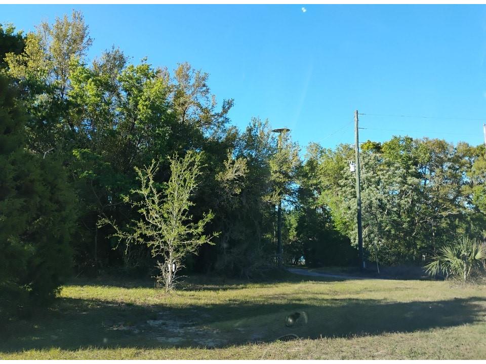 S Lake Hiawatha Drive Lady Lake FL 32159 - LAKE HIAWATHA G5093116 image14