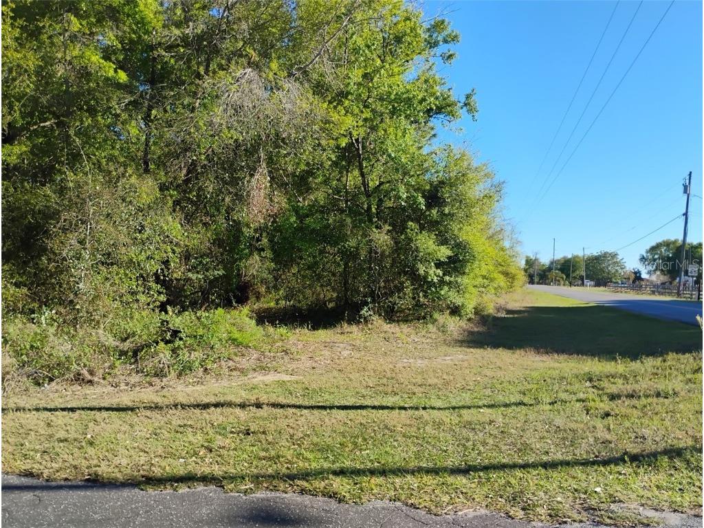 S Lake Hiawatha Drive Lady Lake FL 32159 - LAKE HIAWATHA G5093116 image18