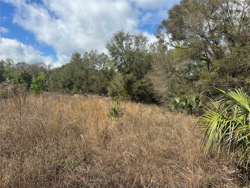 S Lake Hiawatha Drive Lady Lake FL 32159 - LAKE HIAWATHA G5093116 image21