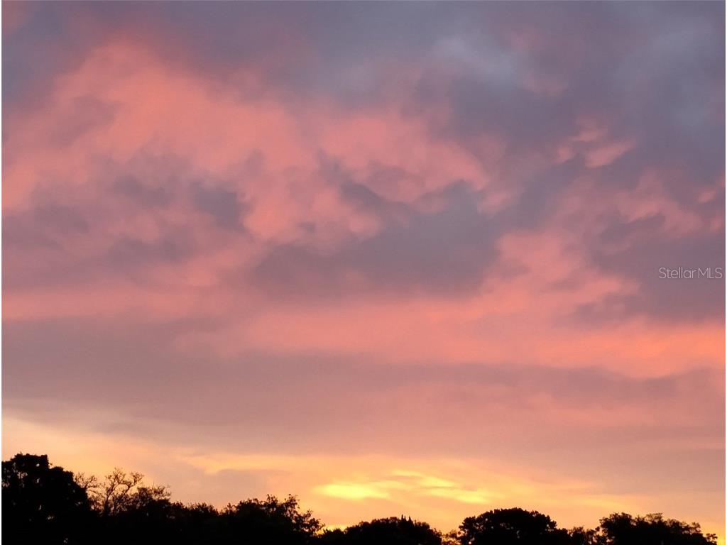 S Lake Hiawatha Drive Lady Lake FL 32159 - LAKE HIAWATHA G5093116 image22