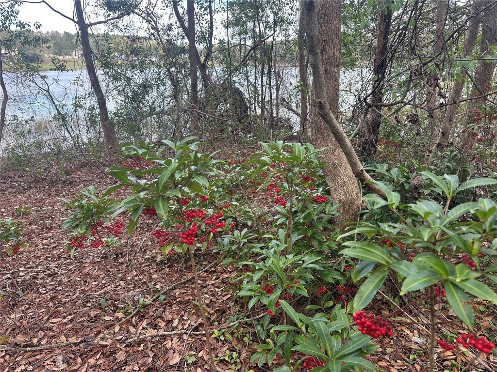 S Lake Hiawatha Drive Lady Lake FL 32159 - LAKE HIAWATHA G5093116 image7