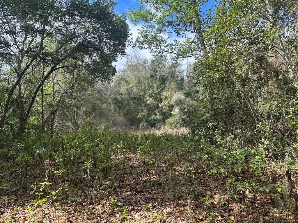 S Lake Hiawatha Drive Lady Lake FL 32159 - LAKE HIAWATHA G5093116 image9