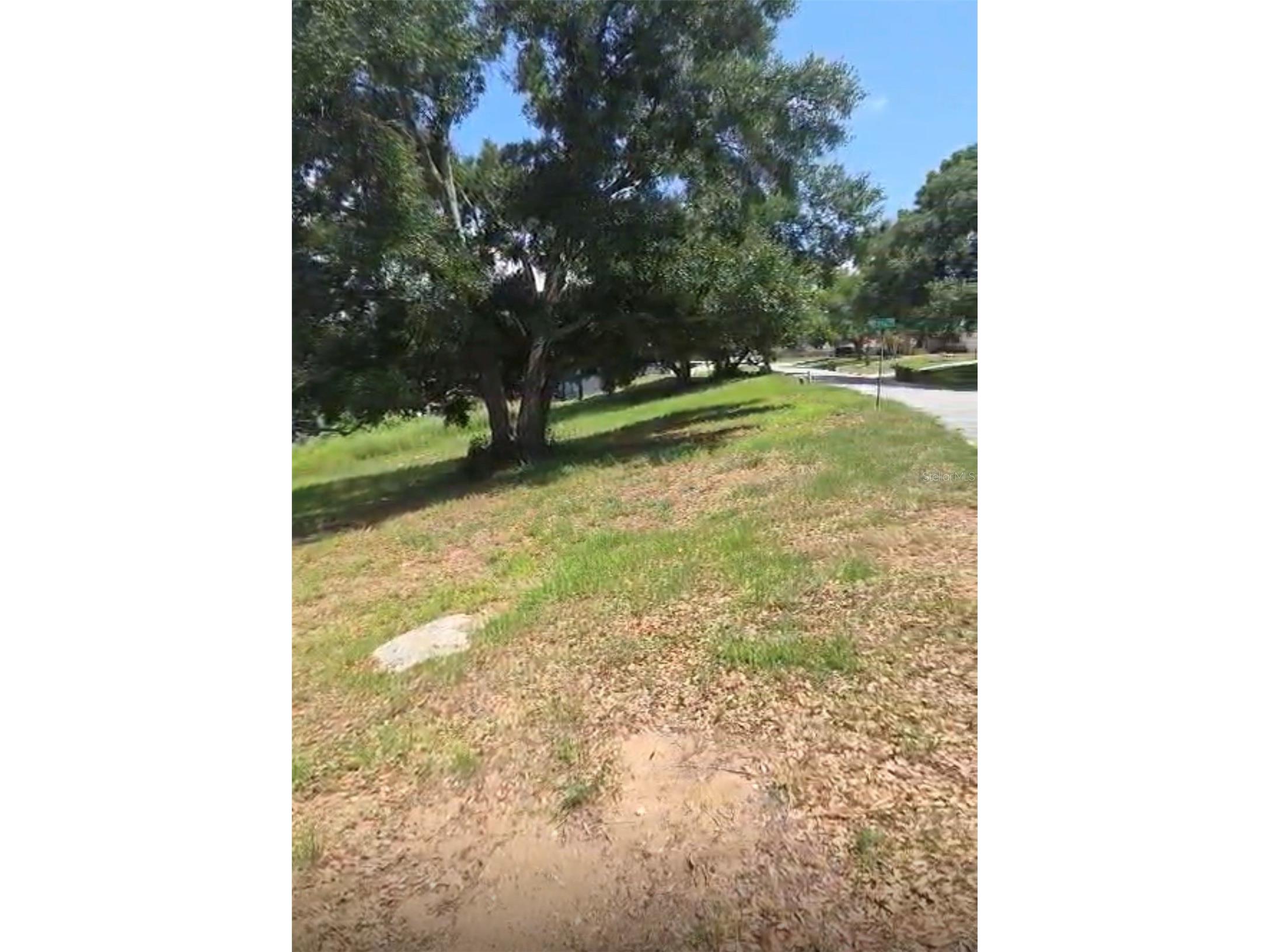 S Lakeshore Eustis FL 32726 O6416848 image3