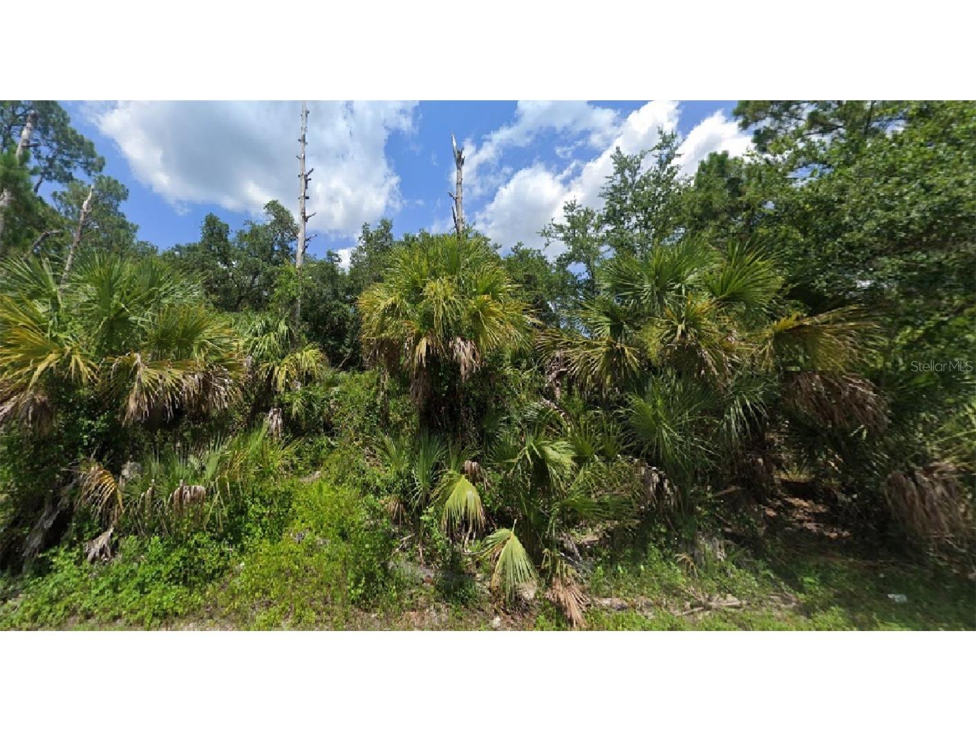 S Lassonde Street North Port FL 34288 O6147395 image1