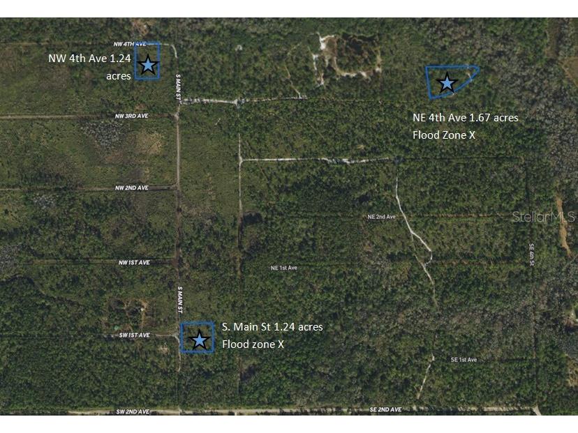 S Main Street Palatka FL 32177 U8248486 image1