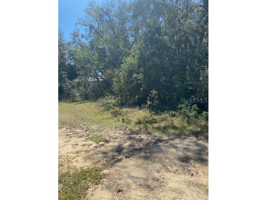 S Mary Street Eustis FL 32726 O6283648 image6