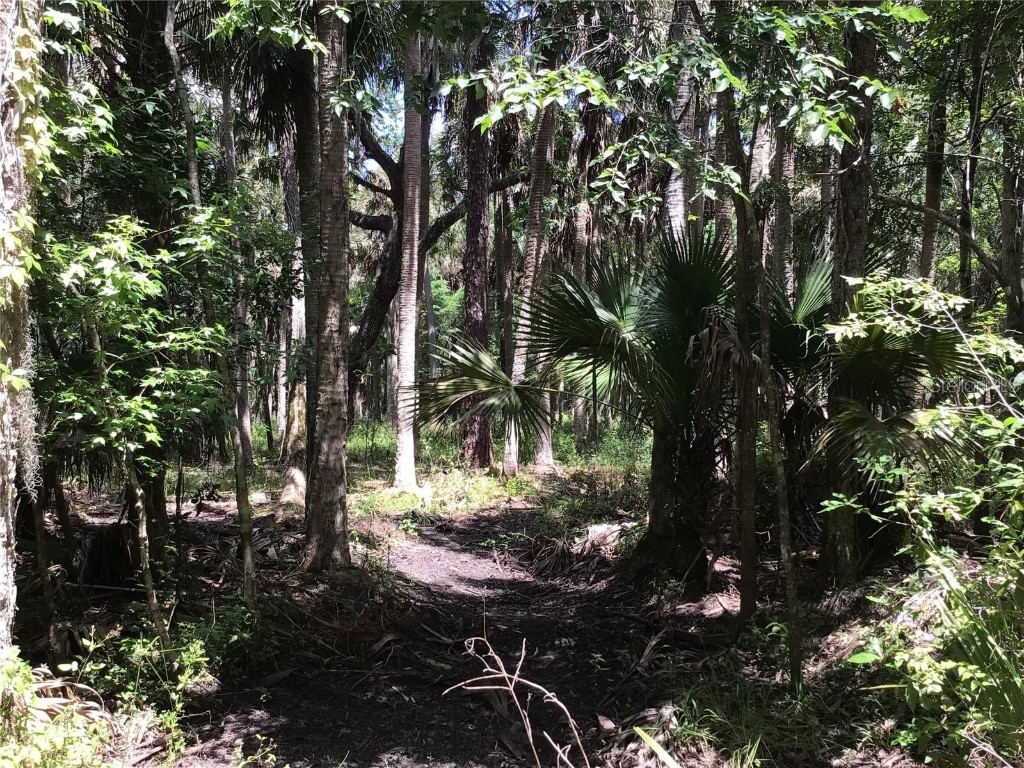 S Mellonville Avenue Sanford FL 32773 O6344300 image10