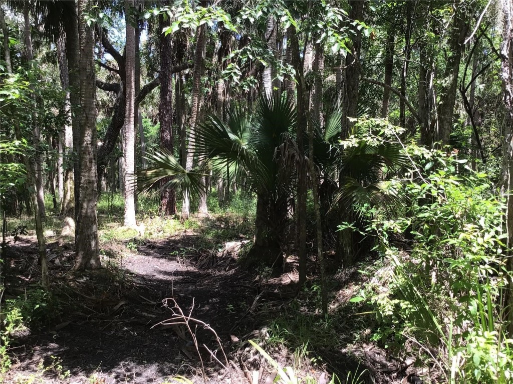 S Mellonville Avenue Sanford FL 32773 O6344300 image11