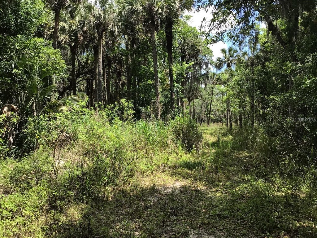 S Mellonville Avenue Sanford FL 32773 O6344300 image12