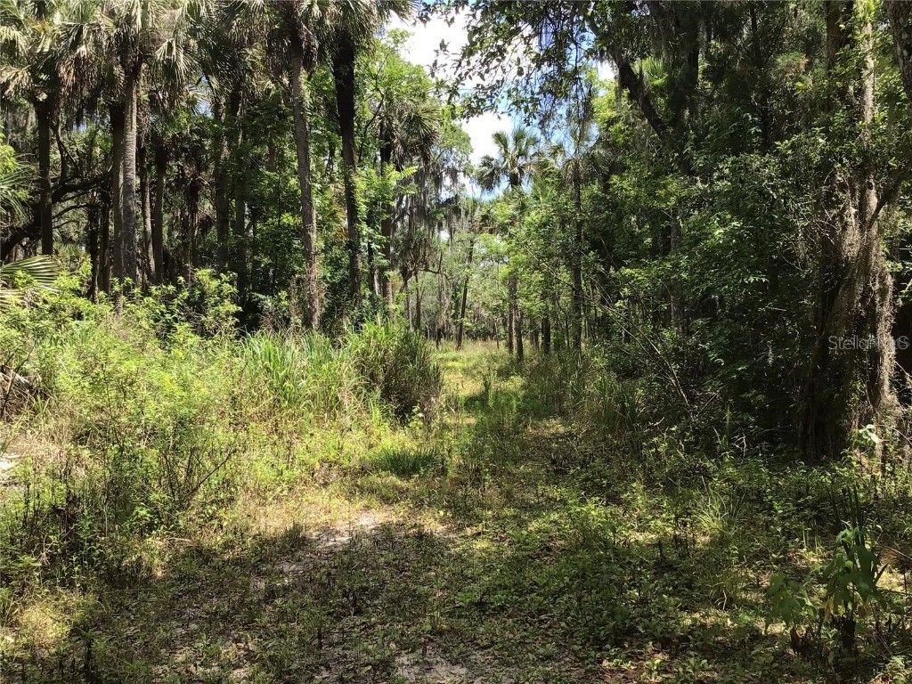 S Mellonville Avenue Sanford FL 32773 O6344300 image13