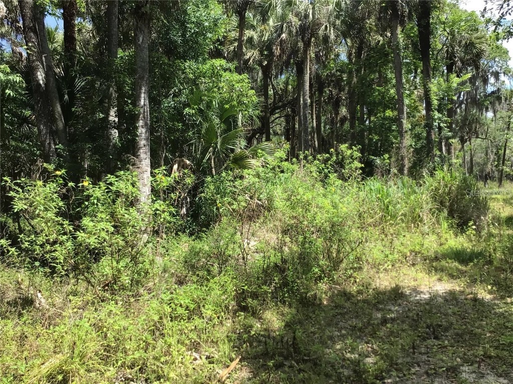 S Mellonville Avenue Sanford FL 32773 O6344300 image14