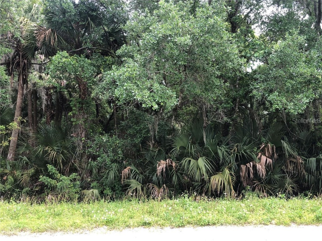 S Mellonville Avenue Sanford FL 32773 O6344300 image4