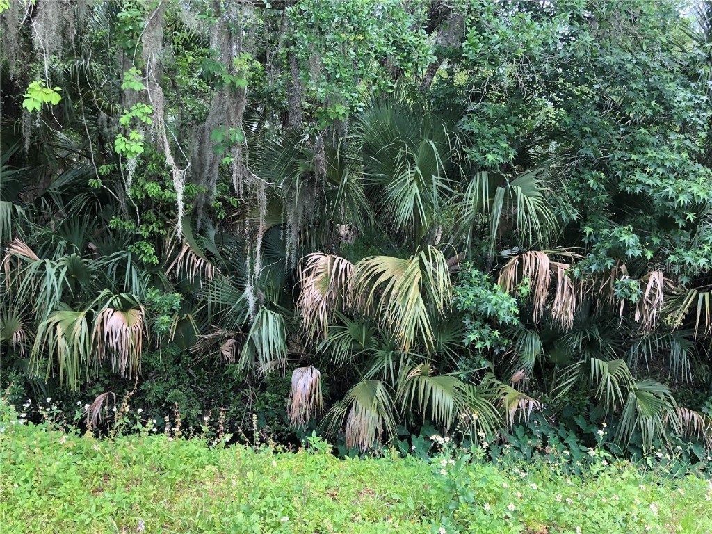 S Mellonville Avenue Sanford FL 32773 O6344300 image5