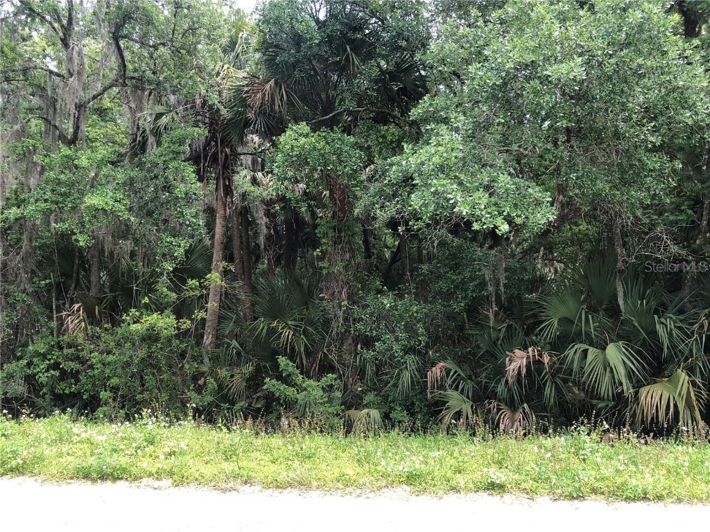 S Mellonville Avenue Sanford FL 32773 O6344300 image6