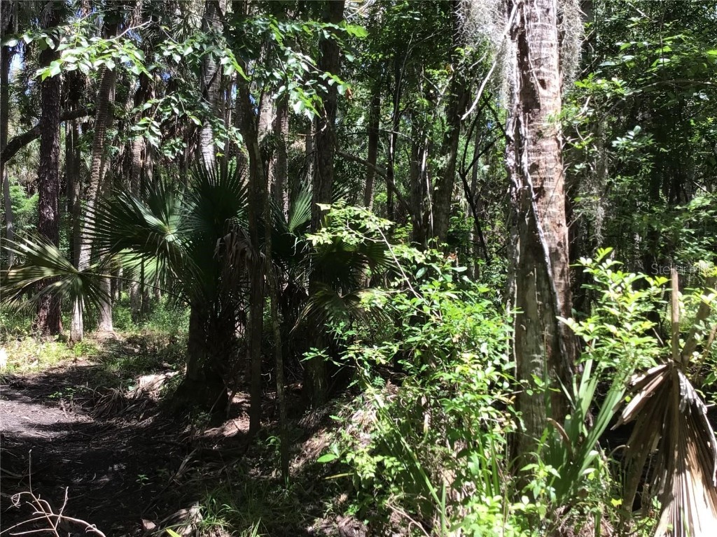 S Mellonville Avenue Sanford FL 32773 O6344300 image9