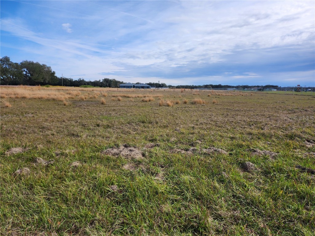 S Nesmith Road Plant City FL 33567 T3495806 image1
