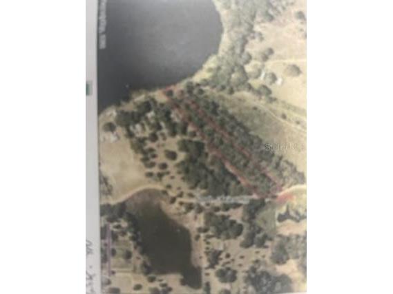 S Obrien Road Groveland FL 34736 - INDIANHOUSE LAKE G5054425 image2