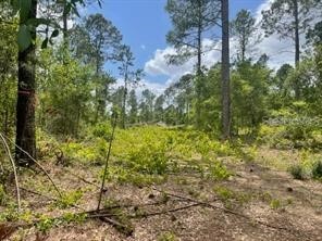 S Obrien Road Groveland FL 34736 - INDIANHOUSE LAKE G5056733 image1