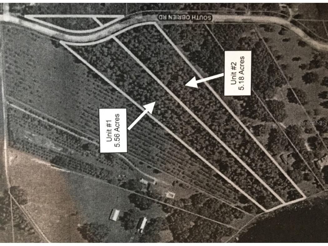 S Obrien Road Groveland FL 34736 - INDIANHOUSE LAKE G5056733 image3