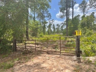 S Obrien Road Groveland FL 34736 - INDIANHOUSE LAKE G5056733 image4