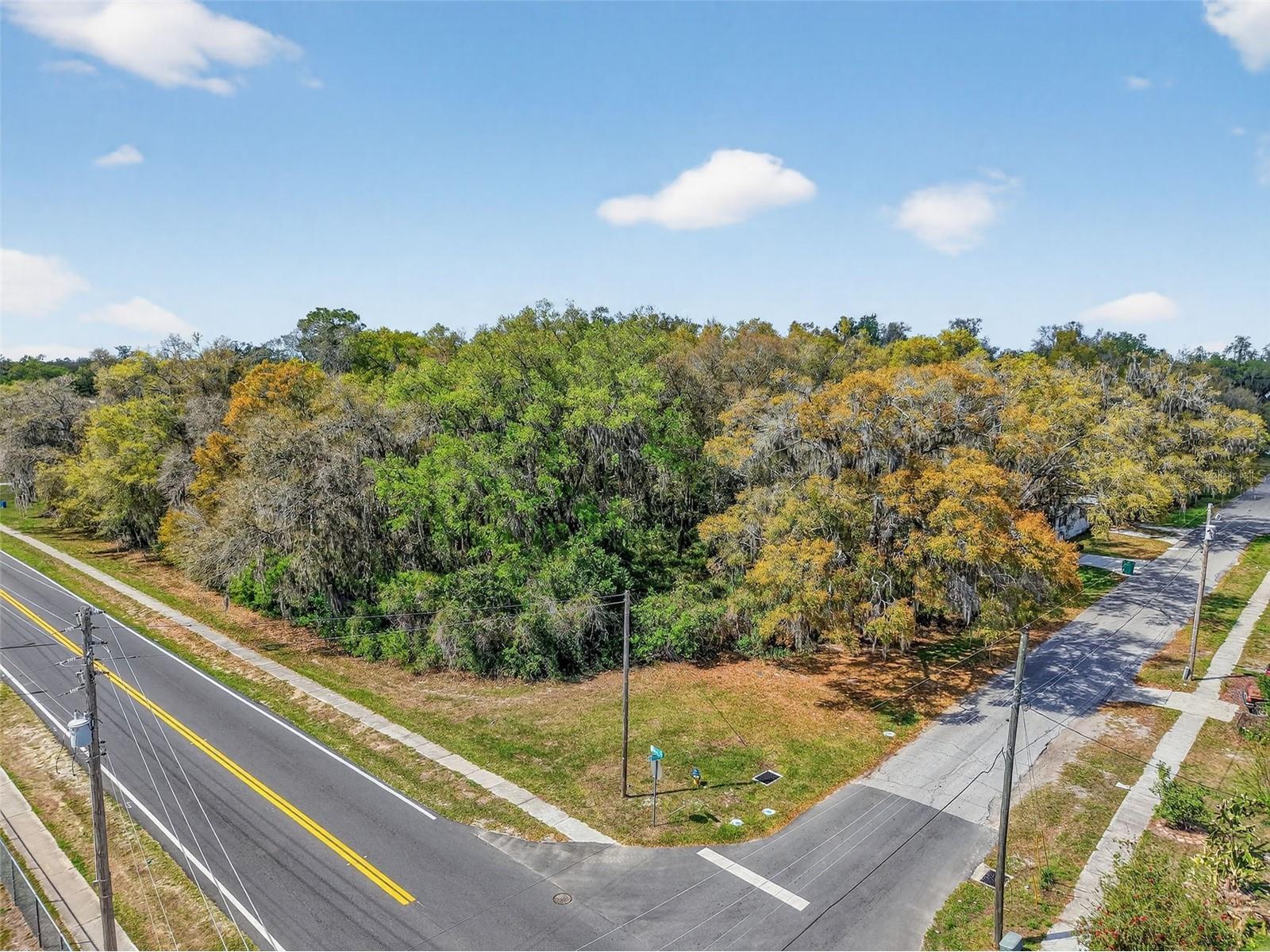 S Old Wire Road Wildwood FL 34785 L4960405 image6