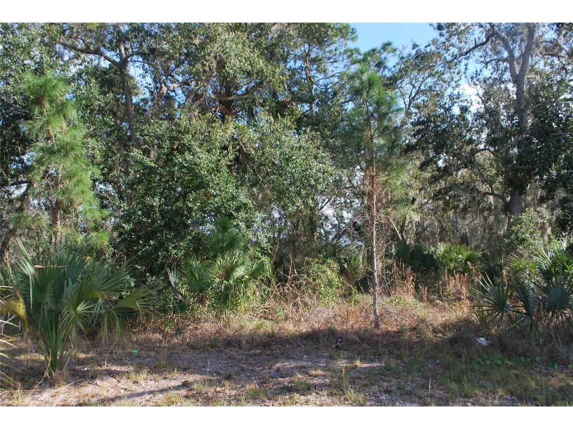 S Ridgewood Avenue Edgewater FL 32141 NS1082574 image1