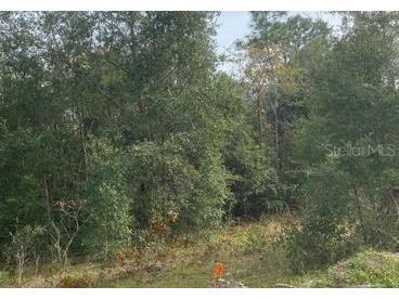 S Samsula Dr New Smyrna Beach FL 32168 O6253894 image1