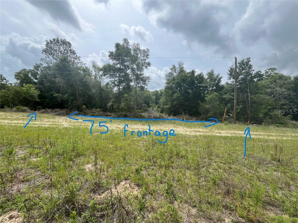 S San Angelo Parkway Dunnellon FL 34432 G5082354 image1