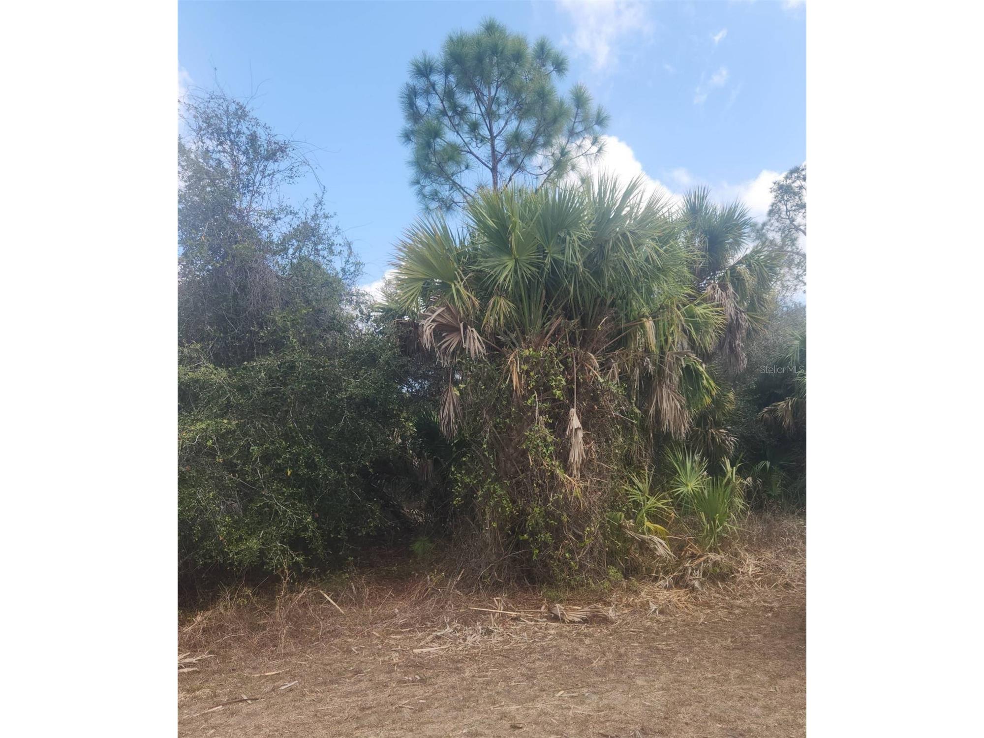 S San Mateo Drive North Port FL 34286 A4685145 image5