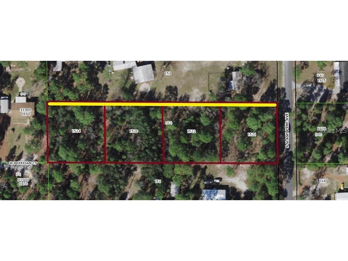 S Slash Pine Avenue Homosassa FL 34446 TB8417599 image2