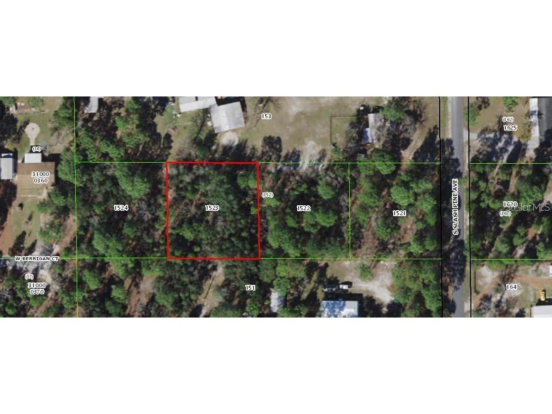 S Slash Pine Avenue Homosassa FL 34446 TB8417599 image4