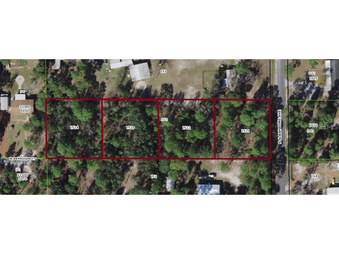 S Slash Pine Avenue Homosassa FL 34446 TB8417655 image1
