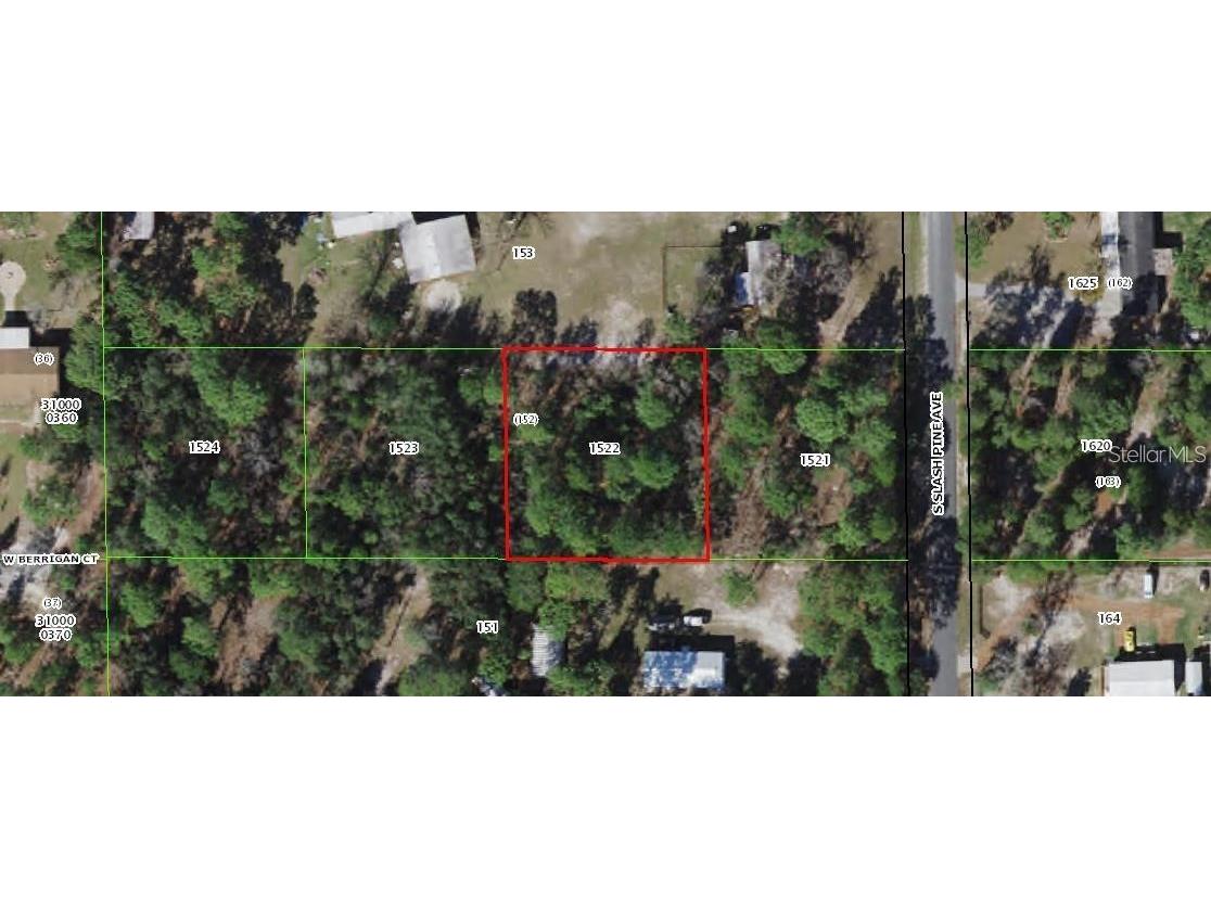 S Slash Pine Avenue Homosassa FL 34446 TB8417655 image3
