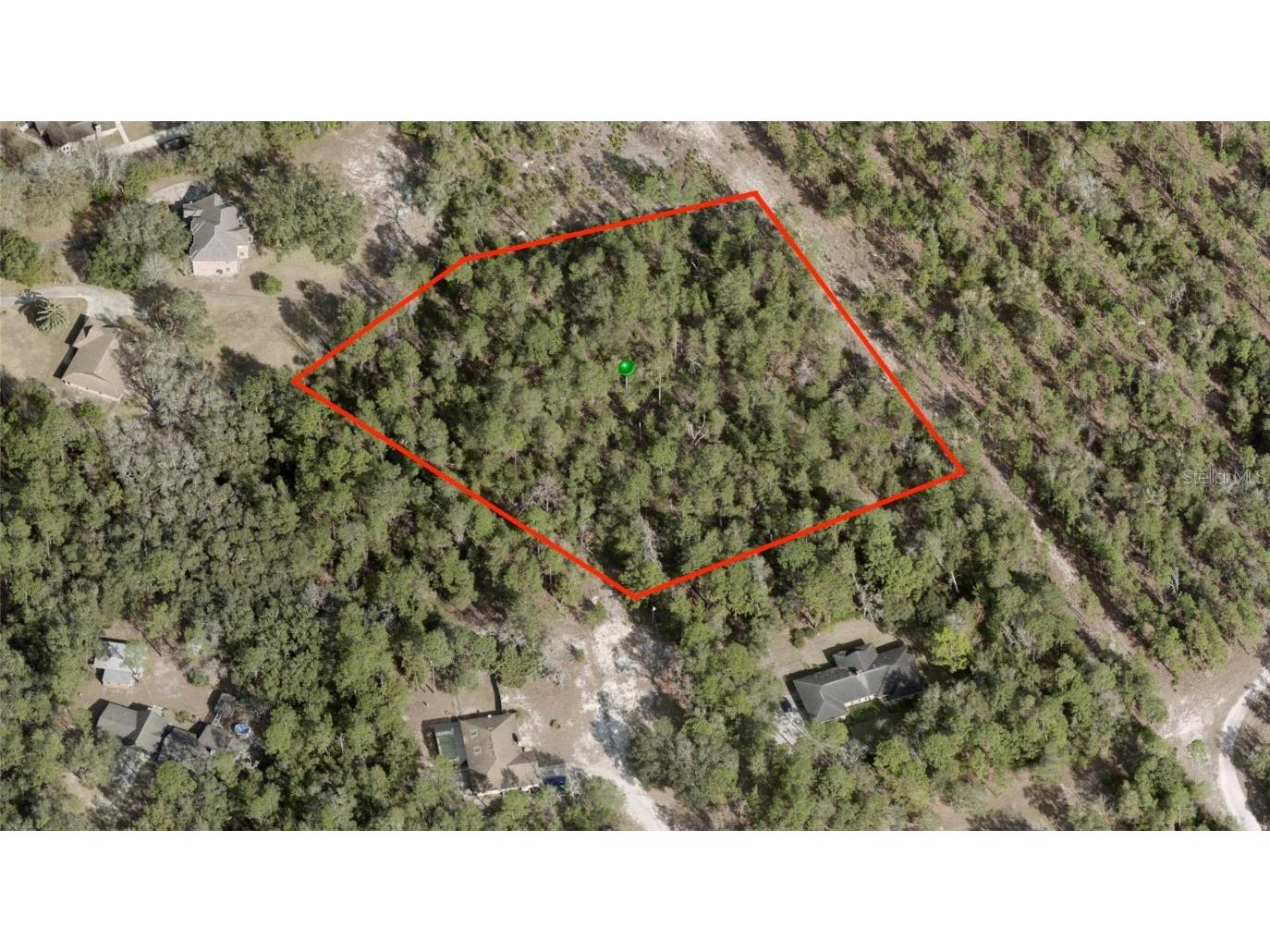 S Tomoka Drive De Leon Springs FL 32130 V4935032 image1