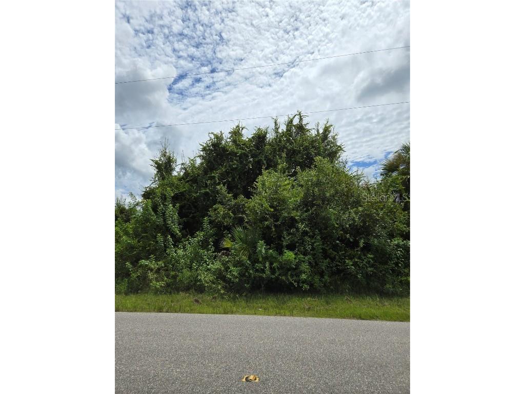 S Torrington Street #LOT 5 North Port FL 34288 A4619011 image1