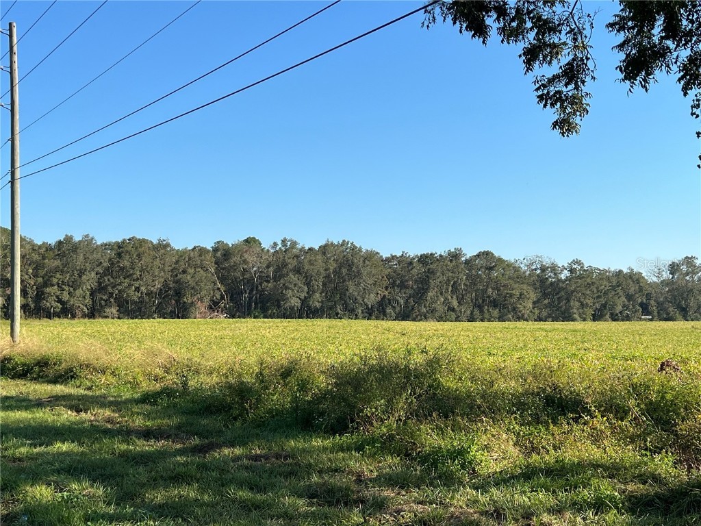 S Us-129 Highway Bell FL 32619 GC525792 image1