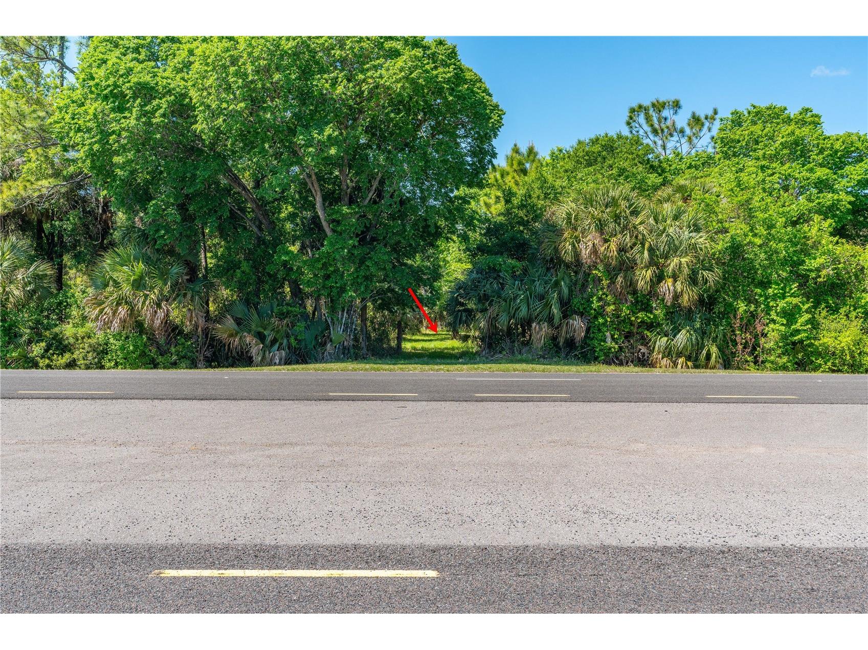 S Us Hwy 1 Oak Hill FL 32759 NS1087769 image11