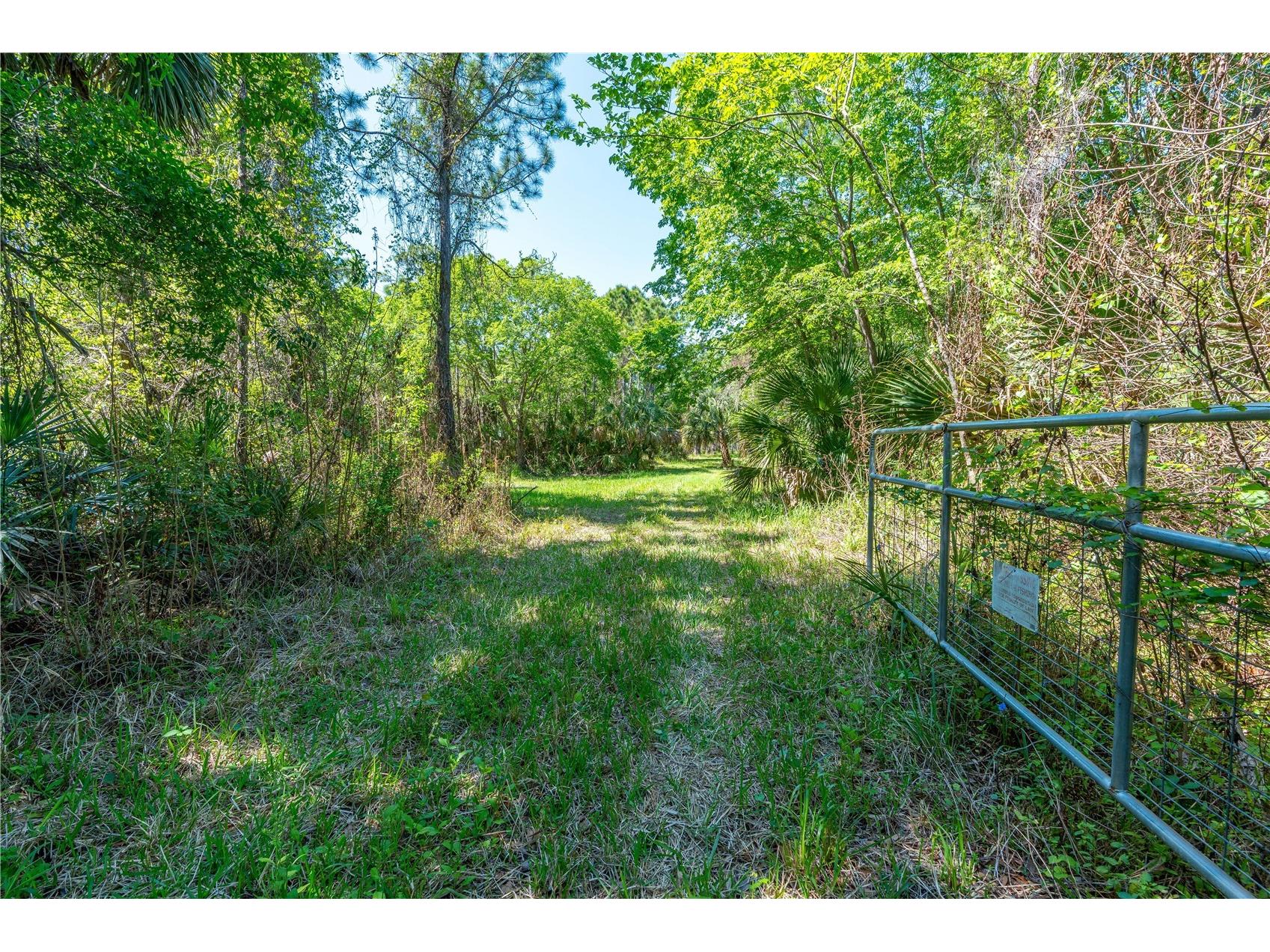 S Us Hwy 1 Oak Hill FL 32759 NS1087769 image12