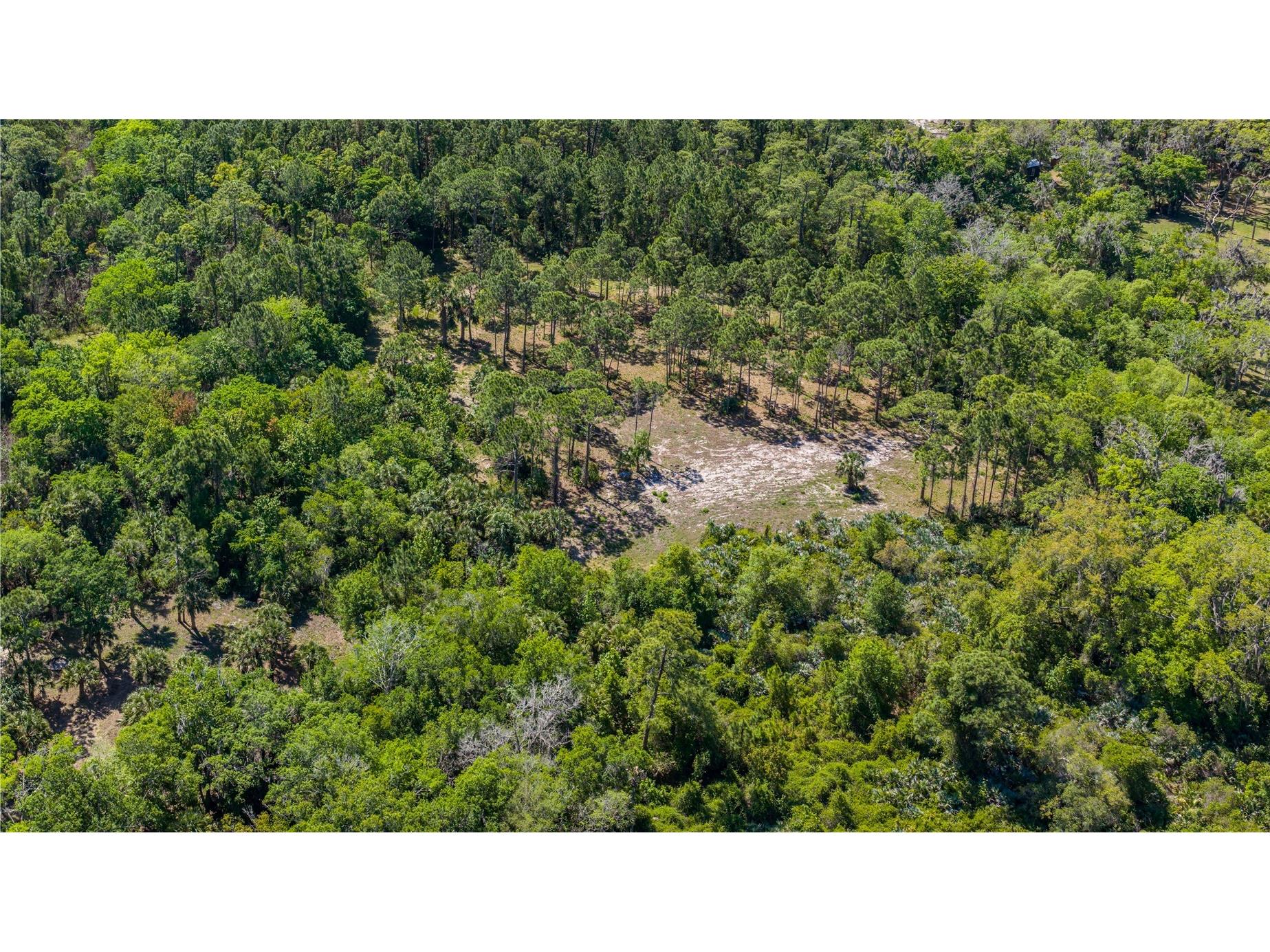 S Us Hwy 1 Oak Hill FL 32759 NS1087769 image13