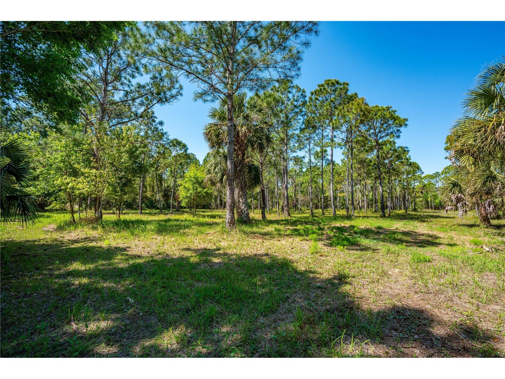 S Us Hwy 1 Oak Hill FL 32759 NS1087769 image14