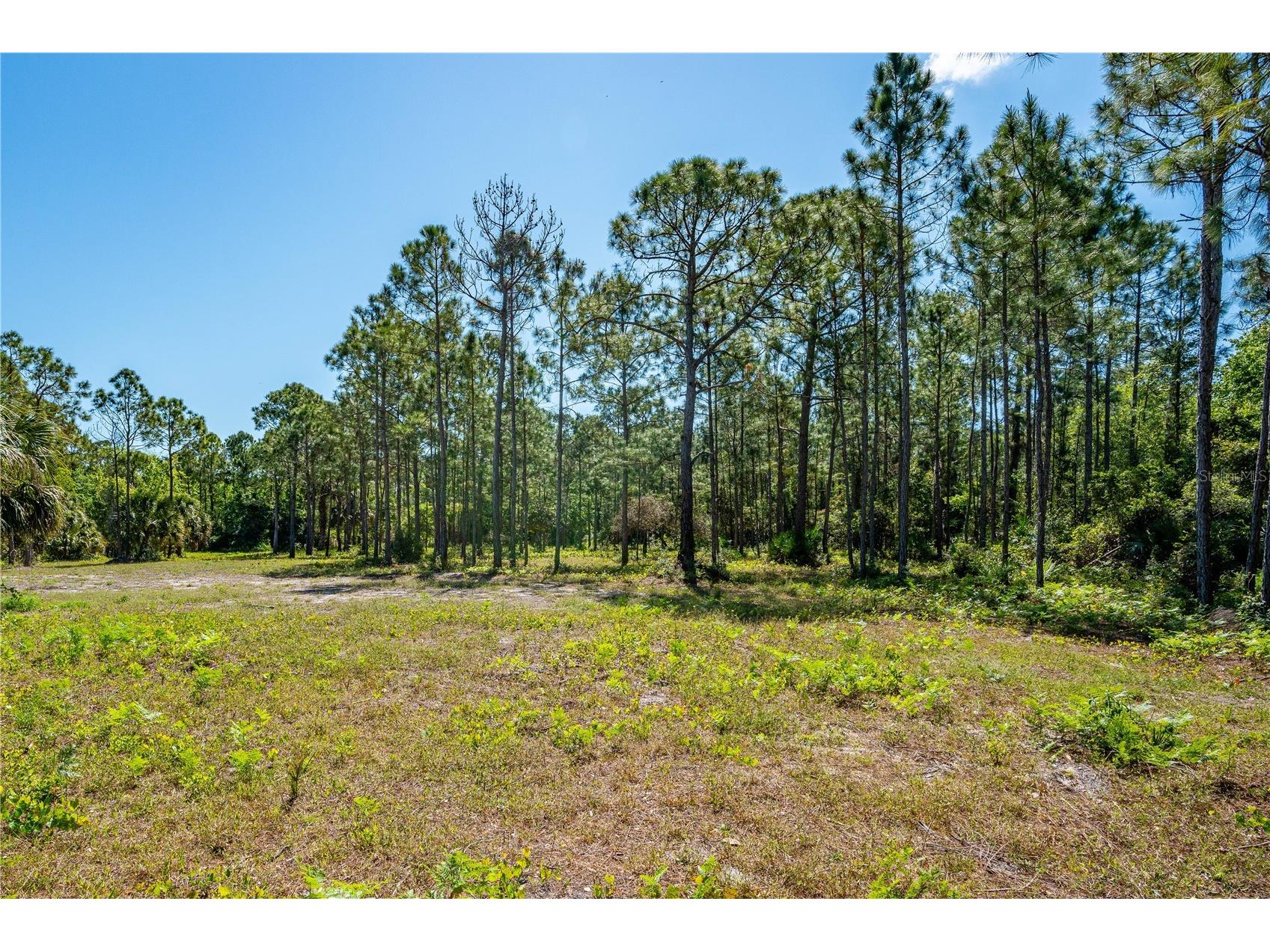 S Us Hwy 1 Oak Hill FL 32759 NS1087769 image15