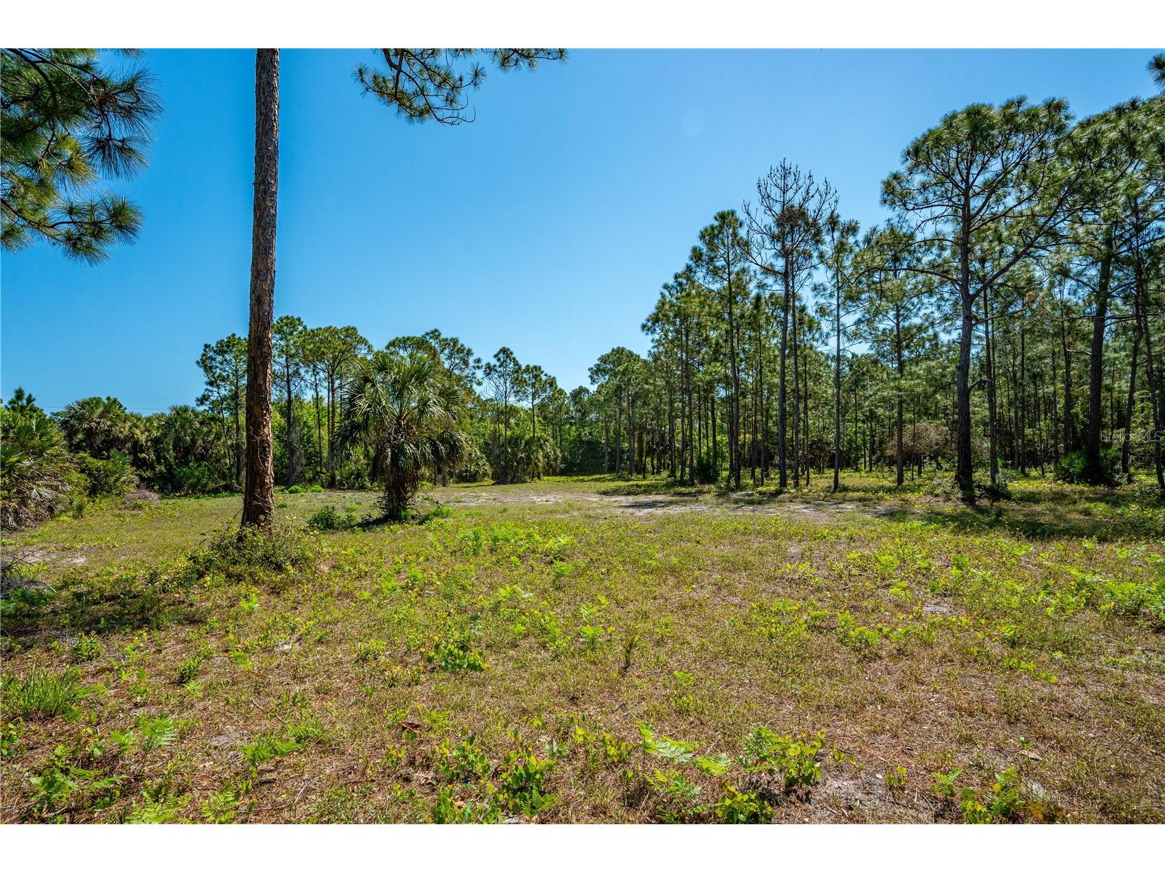 S Us Hwy 1 Oak Hill FL 32759 NS1087769 image16