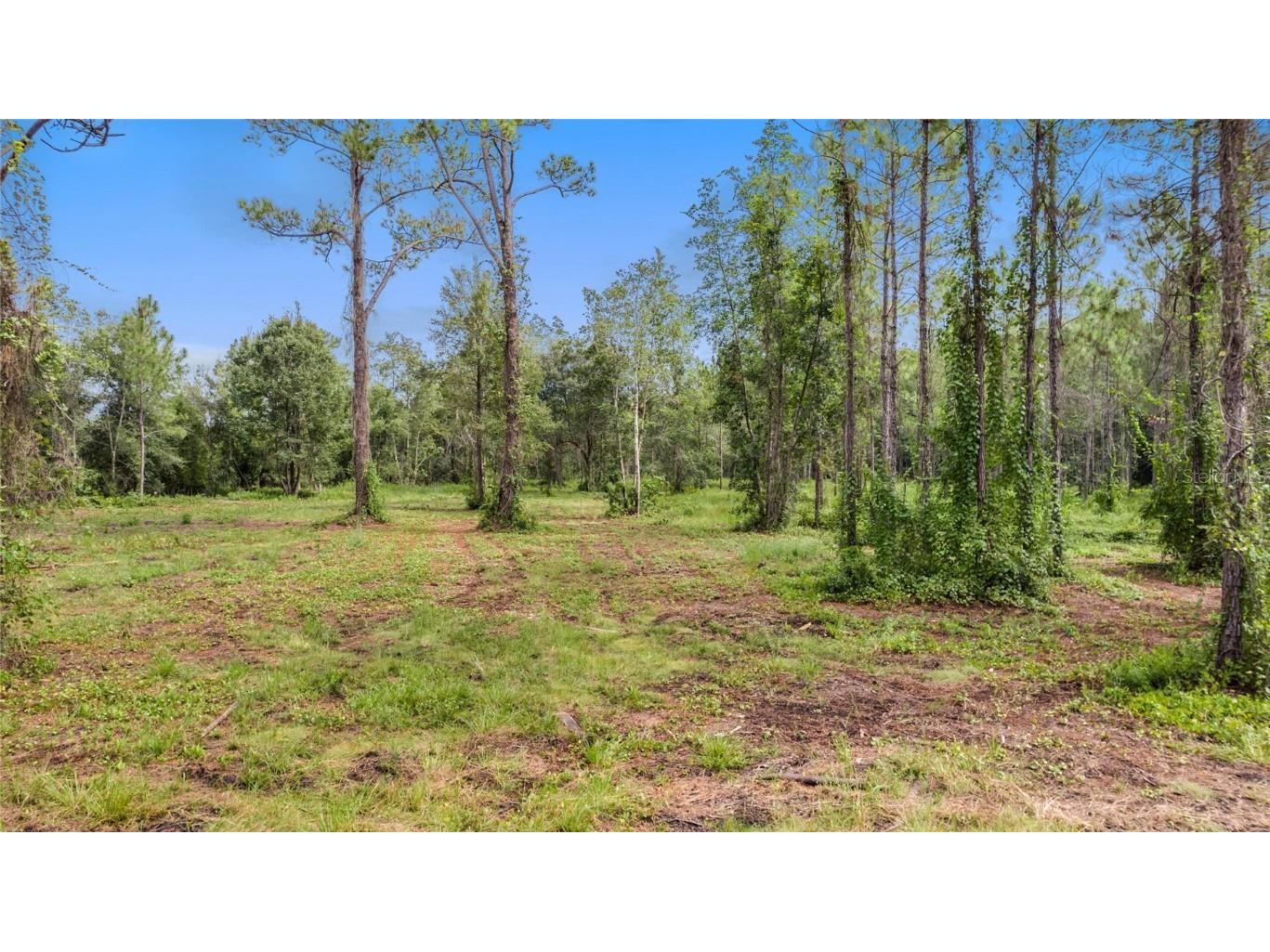 S Us Hwy 17 Pierson FL 32180 O5953337 image1