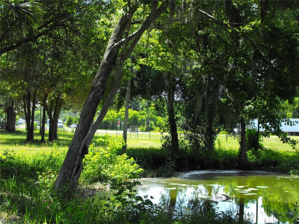 S Us Hwy 27 & Howard Rd Leesburg FL 34748 - LAKE HARRIS - HARRIS CHAIN G5090064 image17