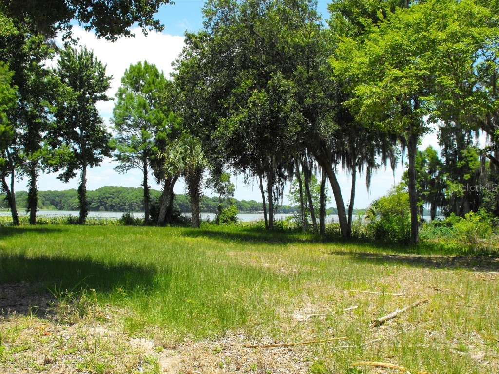 S Us Hwy 27 & Howard Rd Leesburg FL 34748 - LAKE HARRIS - HARRIS CHAIN G5090064 image18