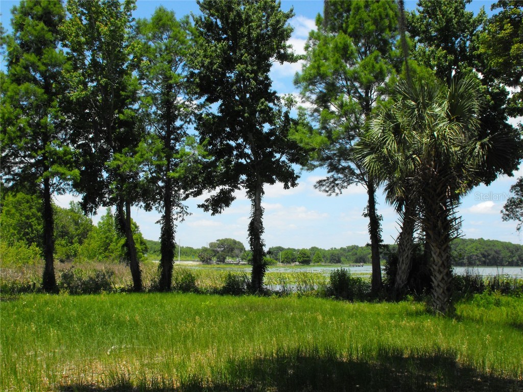 S Us Hwy 27 & Howard Rd Leesburg FL 34748 - LAKE HARRIS - HARRIS CHAIN G5090064 image19