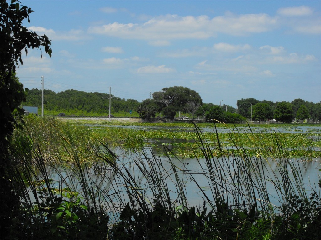 S Us Hwy 27 & Howard Rd Leesburg FL 34748 - LAKE HARRIS - HARRIS CHAIN G5090064 image20