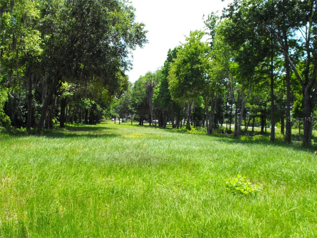 S Us Hwy 27 & Howard Rd Leesburg FL 34748 - LAKE HARRIS - HARRIS CHAIN G5090064 image21